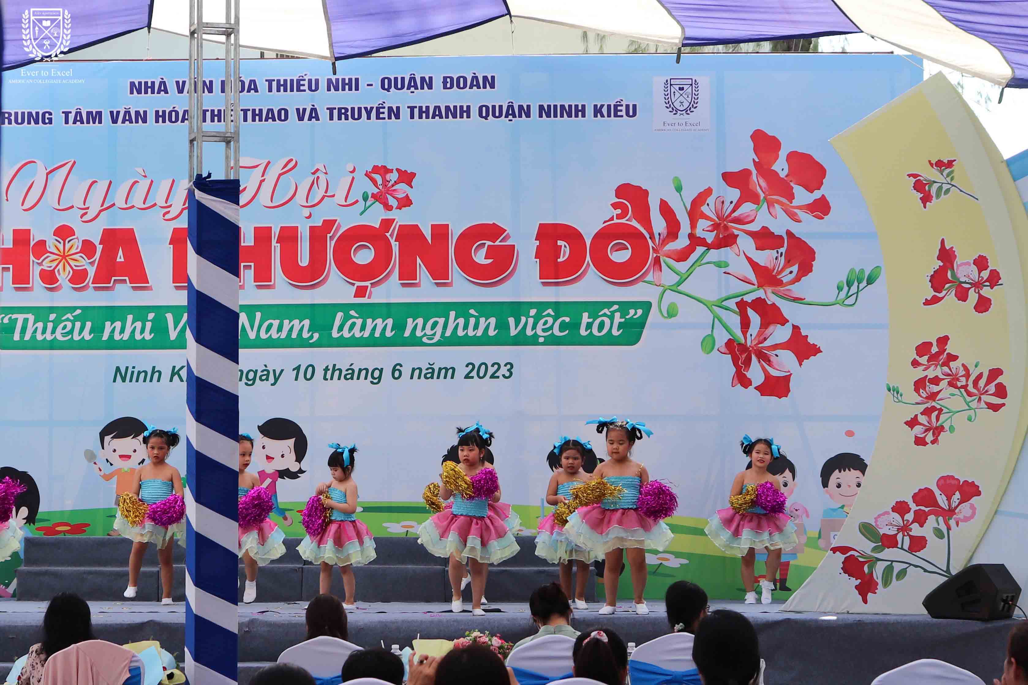 hoa phuong do 17