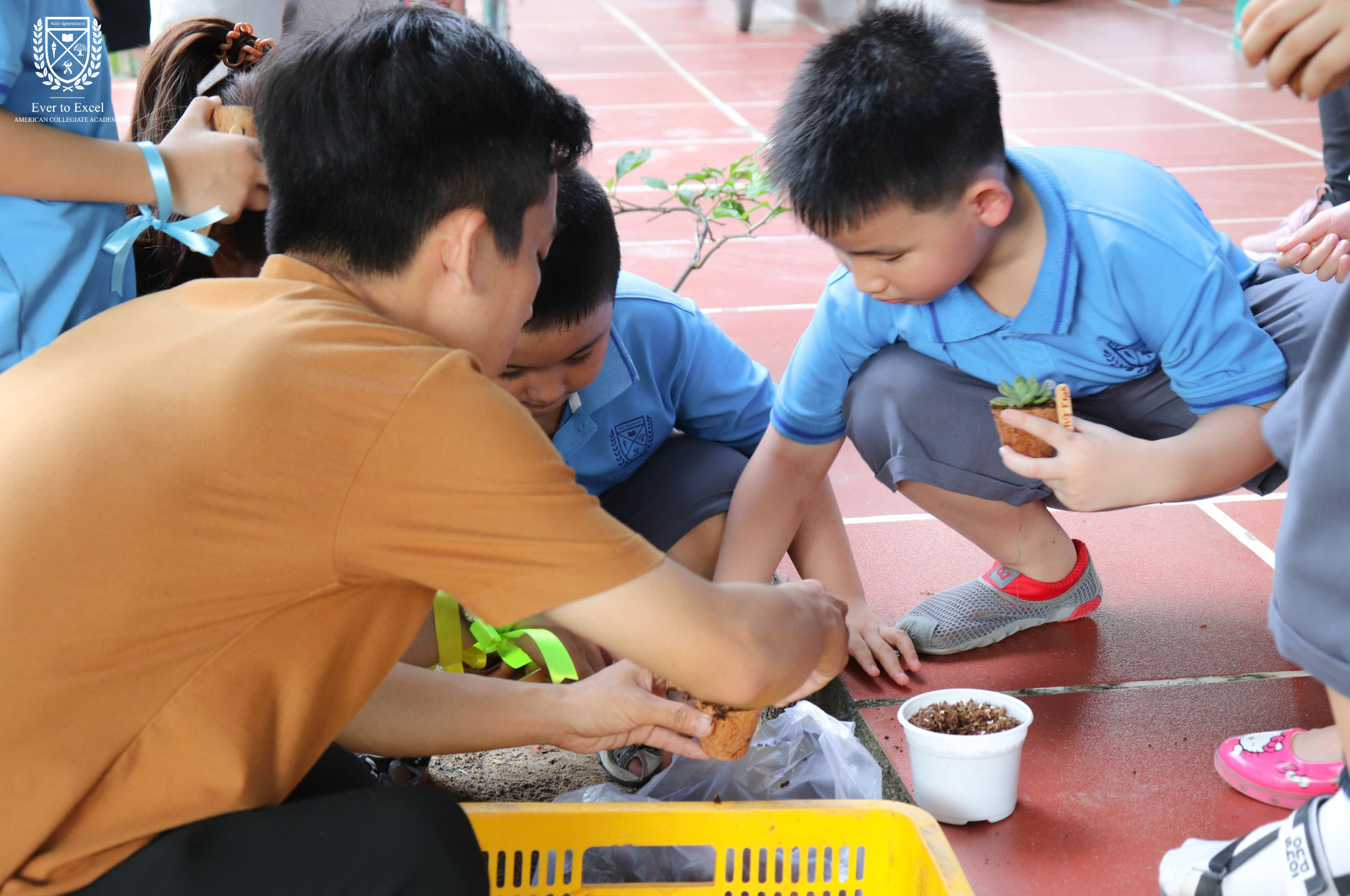 tu tay trong sen da